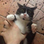 BrianMonge2013's Avatar'