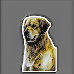 snoopyspy34's Avatar'