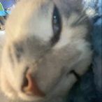 jelly.fm's Avatar'