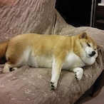 breezlysleftnut's Avatar'