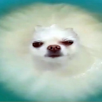 Medumpt's Avatar'