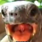 RetordBoy's Avatar'