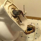 CPTConeHead's Avatar'