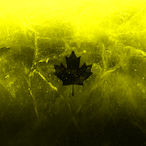 lakaru.LwT's Avatar'