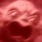 LilBubushka's Avatar'