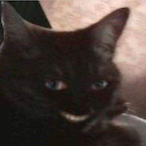 yellowboy.'s Avatar'