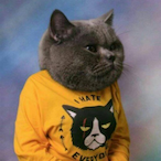 WahrG's Avatar'