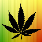 iFartedMbb's Avatar'