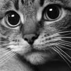 TweeeedleDee859's Avatar'