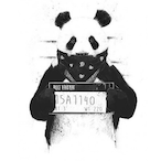 Rorapes's Avatar'