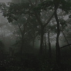 thelordofnazgul's Avatar'
