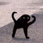MatriXxzy's Avatar'