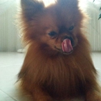 MangoR0lo's Avatar'