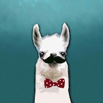 QuibblingSky322's Avatar'