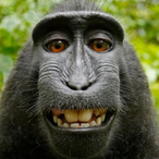 FilthyJackson's Avatar'