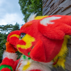 Fur_TongTong's Avatar'