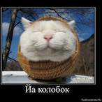 NGAOMEN's Avatar'