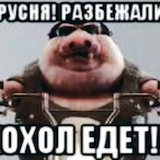 Nikita22867777's Avatar'