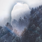 ThoughtLanguage's Avatar