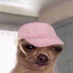 Nathanbrp's Avatar'
