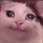 Karlsone's Avatar'
