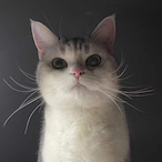 XiaooYaoo.L's Avatar'