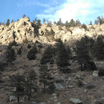 SnubBaton620248's Avatar