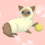 sprwakame's Avatar'