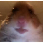 WhiteShake's Avatar'