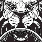 ykrzss's Avatar'