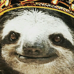 TartanSloth2005's Avatar'