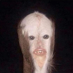 SinlessV2's Avatar'