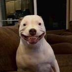 PimpChimpin_'s Avatar'
