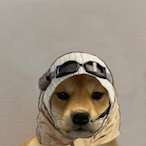 SaltyShifty's Avatar'