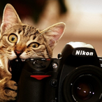 WolitRy's Avatar'
