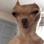 battleborg100's Avatar'