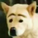 kako1305's Avatar'