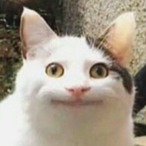 Yee-long-ma's Avatar'