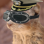 LemmingCommand's Avatar'