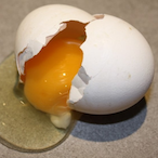 NotHotEgg's Avatar'