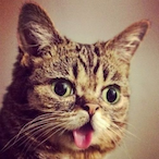 DS_Narwall's Avatar'