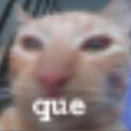 franarfran's Avatar'