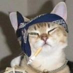 tigeer.exe's Avatar'