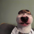 Scared2swi's Avatar'