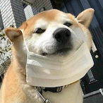 xXioreyx's Avatar'