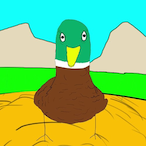DUCKIETAPE11's Avatar'