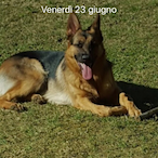 bruzzo72's Avatar'