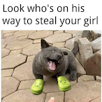 tachikid16's Avatar'