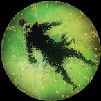 Comrade93G's Avatar'
