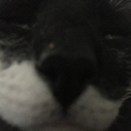 ThtGuyJin-'s Avatar'